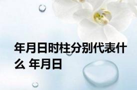 年月日时柱分别代表什么 年月日 