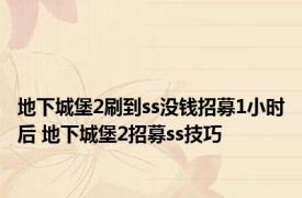 地下城堡2刷到ss没钱招募1小时后 地下城堡2招募ss技巧 