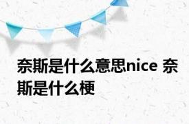 奈斯是什么意思nice 奈斯是什么梗