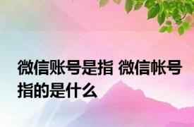 微信账号是指 微信帐号指的是什么