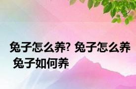 兔子怎么养? 兔子怎么养 兔子如何养