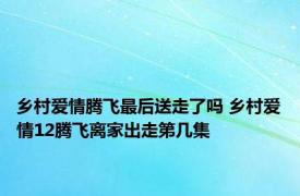 乡村爱情腾飞最后送走了吗 乡村爱情12腾飞离家出走第几集