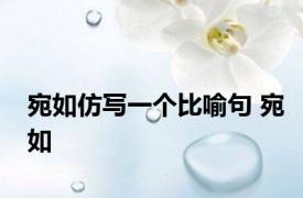 宛如仿写一个比喻句 宛如 