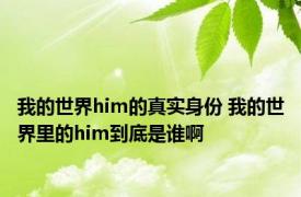 我的世界him的真实身份 我的世界里的him到底是谁啊