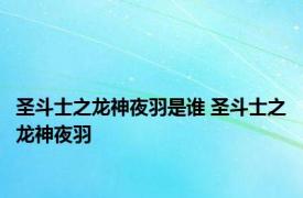 圣斗士之龙神夜羽是谁 圣斗士之龙神夜羽 