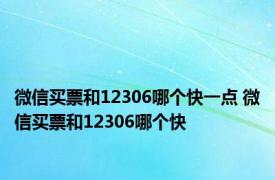 微信买票和12306哪个快一点 微信买票和12306哪个快 