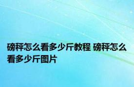 磅秤怎么看多少斤教程 磅秤怎么看多少斤图片 