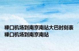 禄口机场到南京南站大巴时刻表 禄口机场到南京南站 