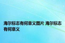 海尔标志有何意义图片 海尔标志有何意义