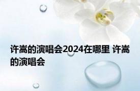 许嵩的演唱会2024在哪里 许嵩的演唱会 