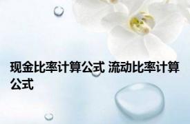 现金比率计算公式 流动比率计算公式 