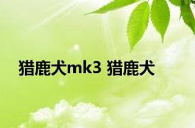 猎鹿犬mk3 猎鹿犬 