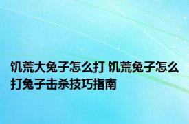 饥荒大兔子怎么打 饥荒兔子怎么打兔子击杀技巧指南