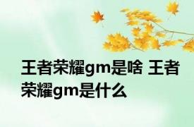 王者荣耀gm是啥 王者荣耀gm是什么