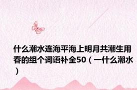 什么潮水连海平海上明月共潮生用春的组个词语补全50（一什么潮水）