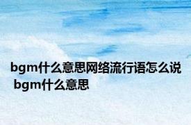 bgm什么意思网络流行语怎么说 bgm什么意思