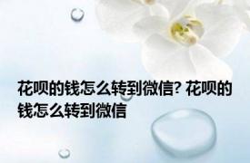 花呗的钱怎么转到微信? 花呗的钱怎么转到微信 