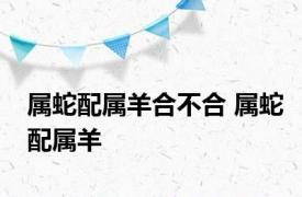 属蛇配属羊合不合 属蛇配属羊 