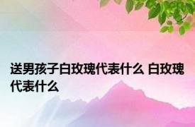 送男孩子白玫瑰代表什么 白玫瑰代表什么