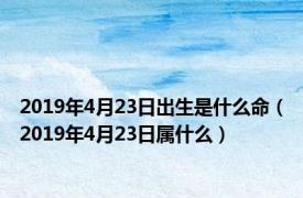 2019年4月23日出生是什么命（2019年4月23日属什么）