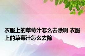 衣服上的草莓汁怎么去除啊 衣服上的草莓汁怎么去除