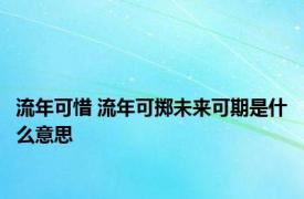 流年可惜 流年可掷未来可期是什么意思