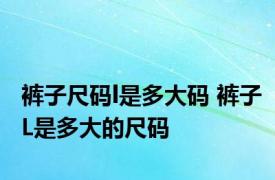 裤子尺码l是多大码 裤子L是多大的尺码