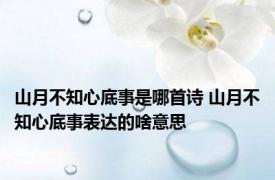 山月不知心底事是哪首诗 山月不知心底事表达的啥意思