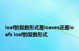 loaf的复数形式是loaves还是loafs loaf的复数形式 