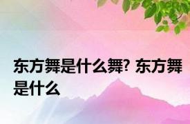 东方舞是什么舞? 东方舞是什么 