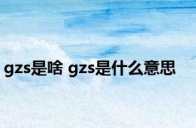 gzs是啥 gzs是什么意思