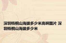 深圳梧桐山海拔多少米高啊图片 深圳梧桐山海拔多少米 