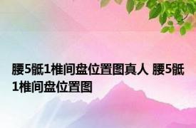 腰5骶1椎间盘位置图真人 腰5骶1椎间盘位置图 