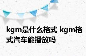 kgm是什么格式 kgm格式汽车能播放吗 