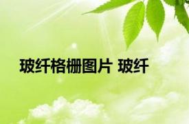 玻纤格栅图片 玻纤 