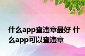 什么app查违章最好 什么app可以查违章