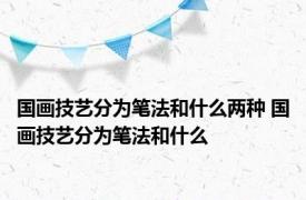 国画技艺分为笔法和什么两种 国画技艺分为笔法和什么