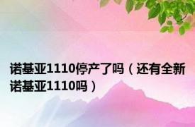 诺基亚1110停产了吗（还有全新诺基亚1110吗）