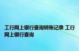 工行网上银行查询转账记录 工行网上银行查询 