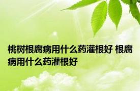 桃树根腐病用什么药灌根好 根腐病用什么药灌根好 