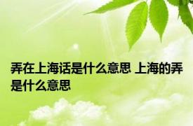 弄在上海话是什么意思 上海的弄是什么意思