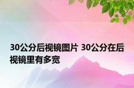 30公分后视镜图片 30公分在后视镜里有多宽