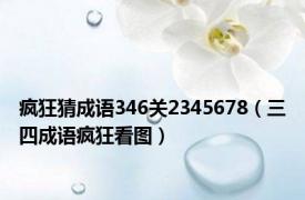 疯狂猜成语346关2345678（三四成语疯狂看图）