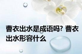 曹衣出水是成语吗? 曹衣出水形容什么