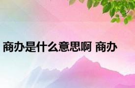 商办是什么意思啊 商办 