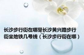 长沙步行街在哪里长沙黄兴路步行街坐地铁几号线（长沙步行街在哪）