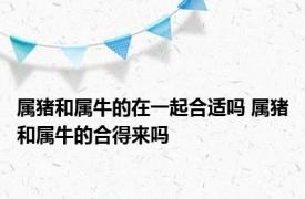 属猪和属牛的在一起合适吗 属猪和属牛的合得来吗