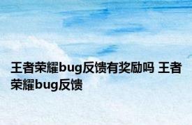 王者荣耀bug反馈有奖励吗 王者荣耀bug反馈 