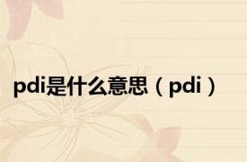 pdi是什么意思（pdi）