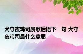 犬守夜鸡司晨歇后语下一句 犬守夜鸡司晨什么意思